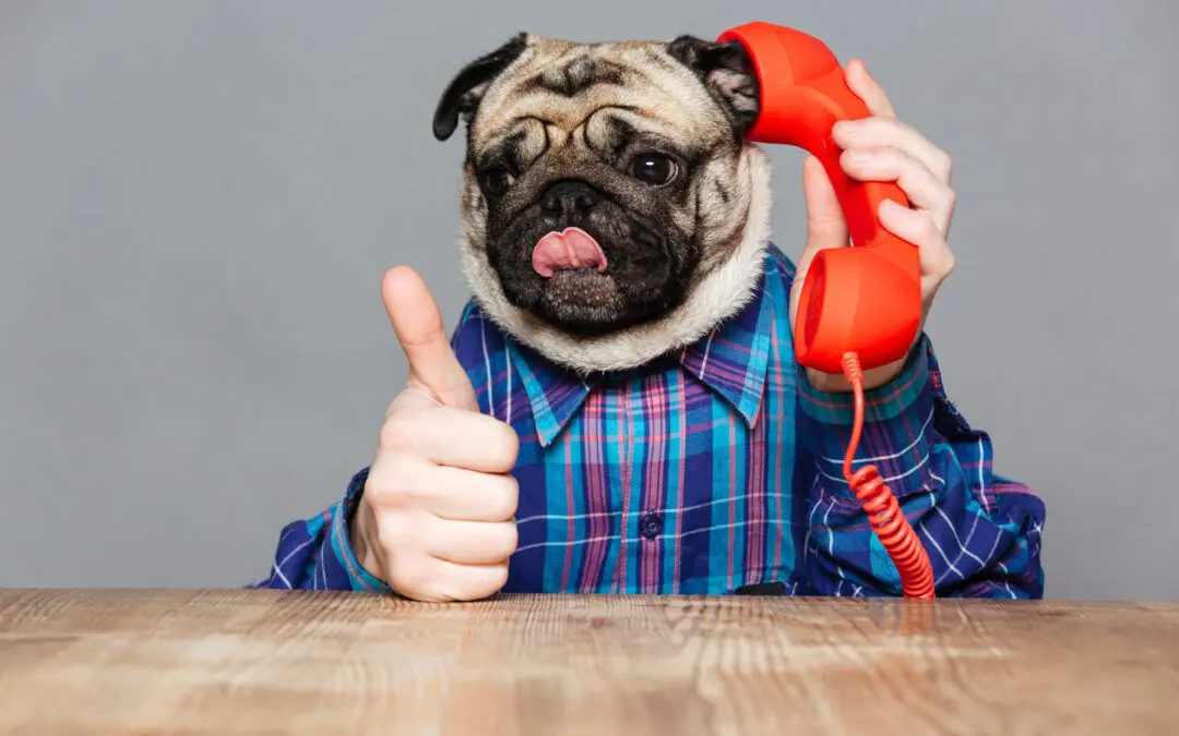Your website has three jobs. Most only do one.