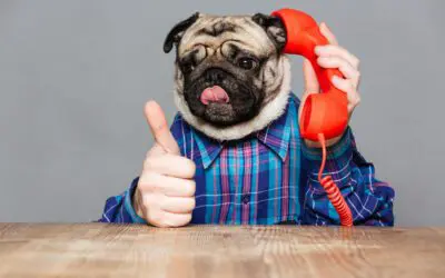 Your website has three jobs. Most only do one.