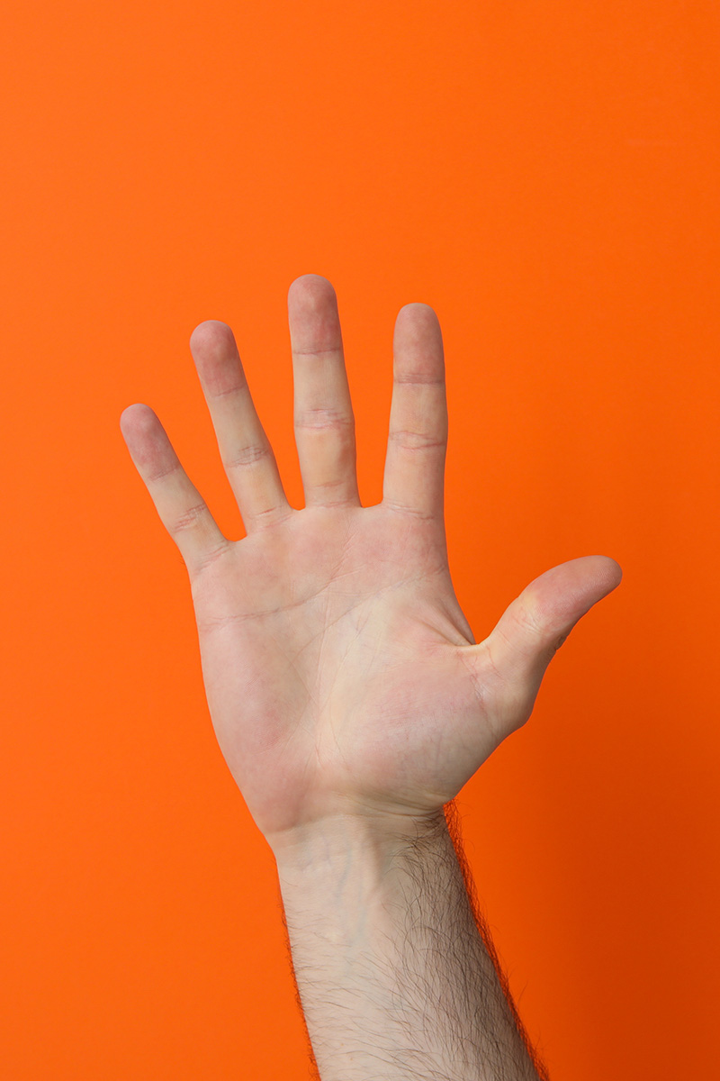 raised hand