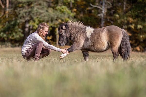 man holding miniature pony's hoof